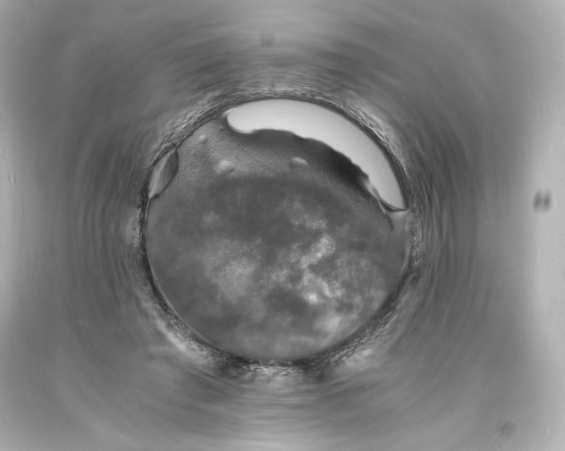 X0000094060401200711021450