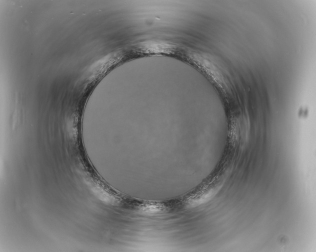 X0000094060402200711021450