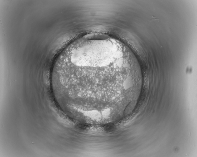 X0000094060403200711021450