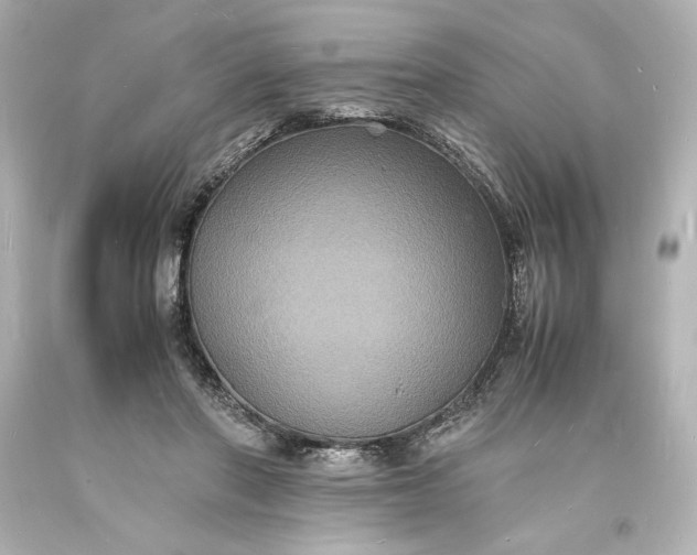 X0000094060406200711021450