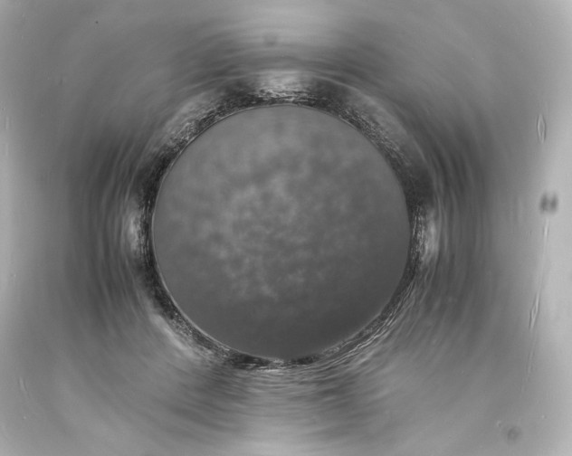X0000094060408200711021450
