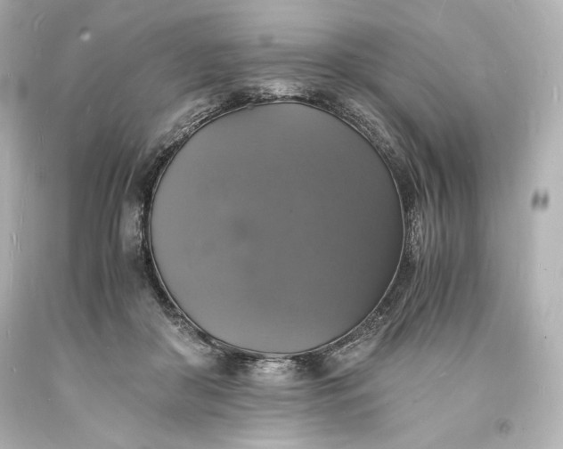 X0000094060410200711021450