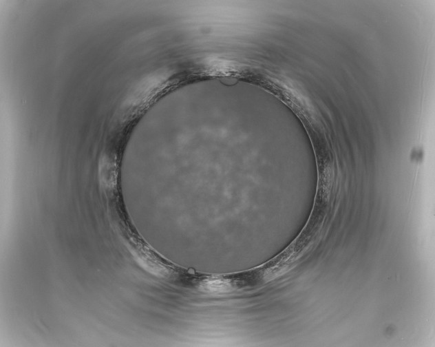 X0000094060413200711021450