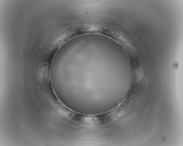 X0000094060415200711021450