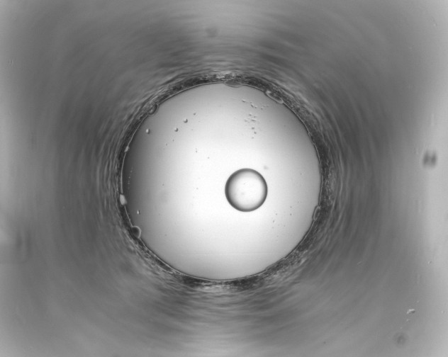 X0000094060417200711021450