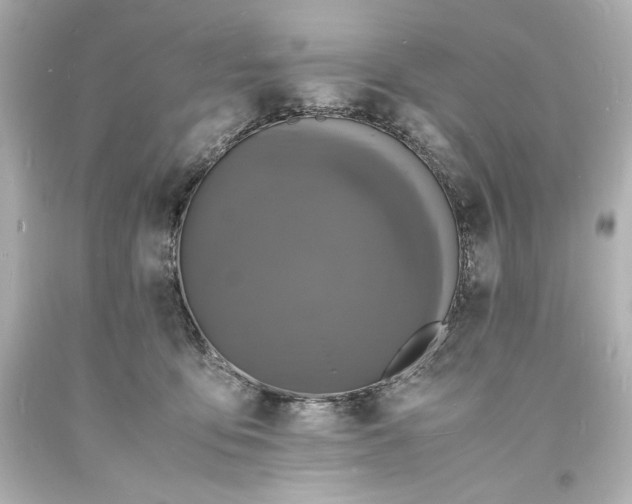 X0000094060419200711021450