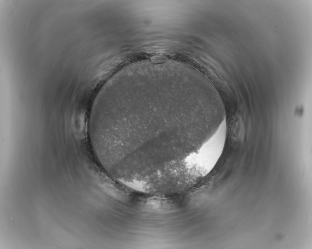 X0000094060420200711021450