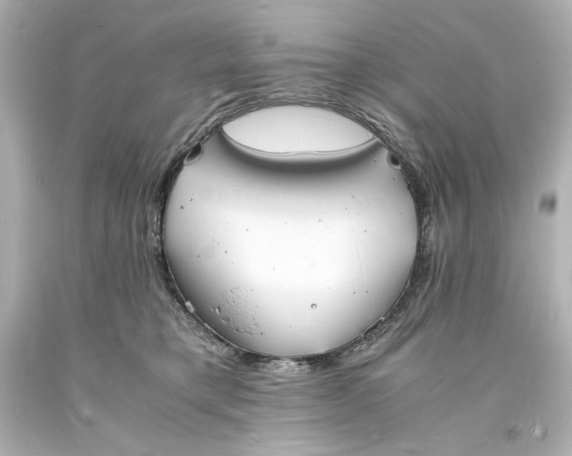 X0000094060421200711021450