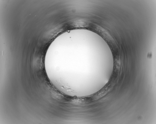 X0000094060422200711021450