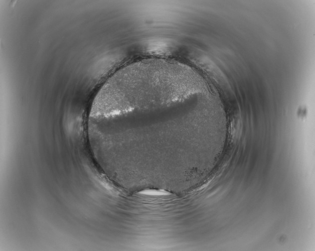 X0000094060424200711021450
