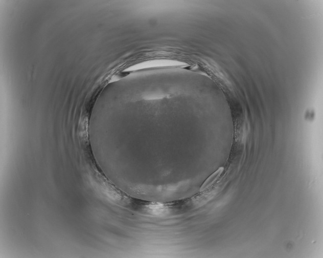 X0000094060425200711021450