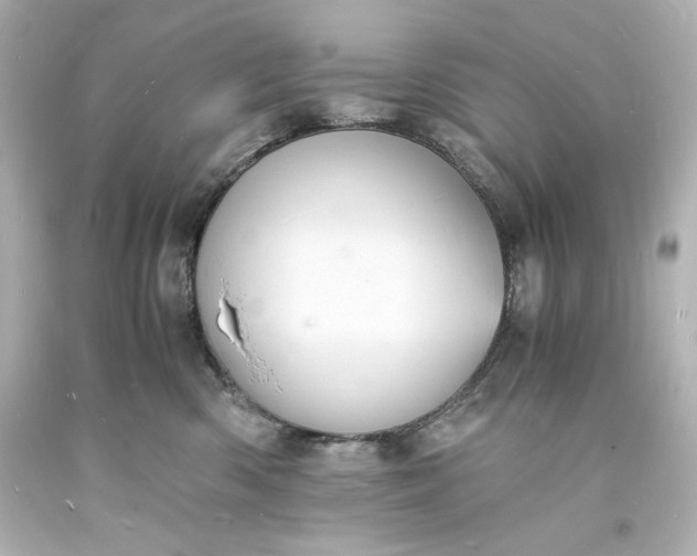 X0000094060426200711021450