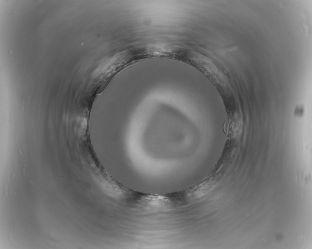 X0000094060427200711021450