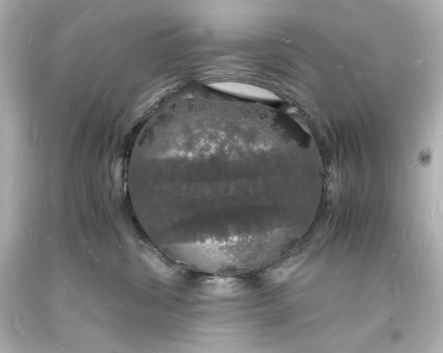 X0000094060428200711021450