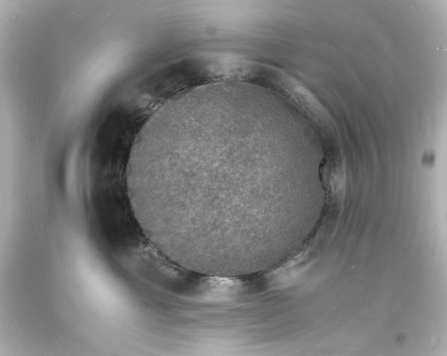 X0000094060429200711021450