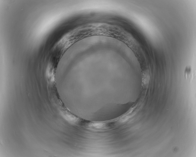 X0000094060431200711021450