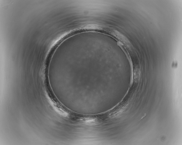 X0000094060436200711021449