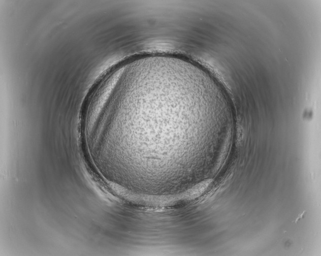X0000094060439200711021449