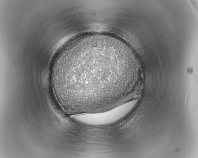 X0000094060440200711021449