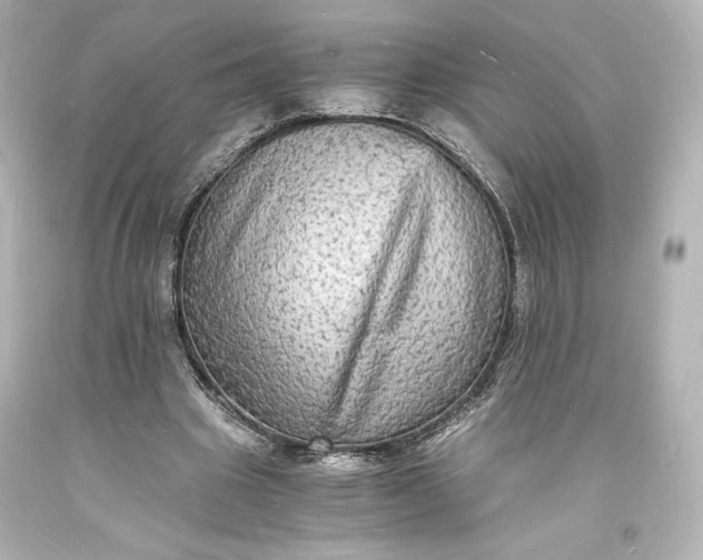 X0000094060441200711021449
