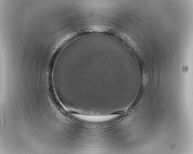 X0000094060444200711021449