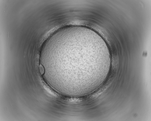 X0000094060445200711021449
