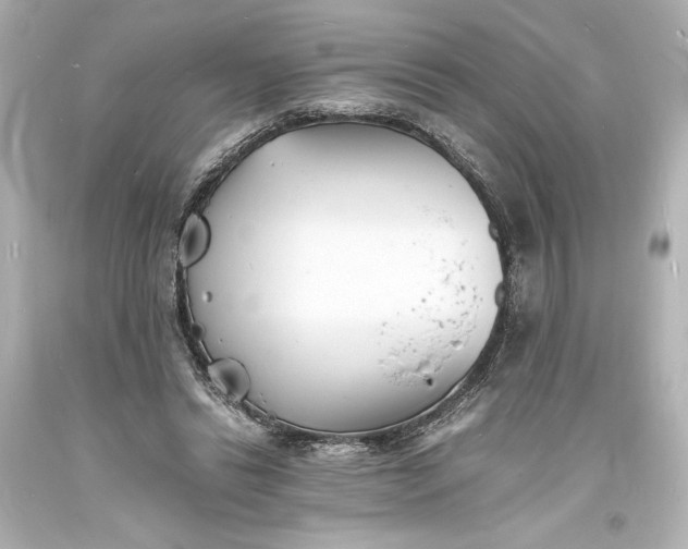 X0000094060446200711021449