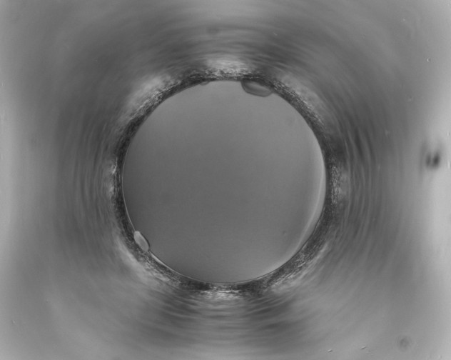 X0000094060451200711021449