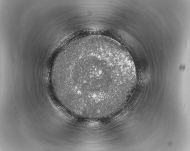 X0000094060456200711021449