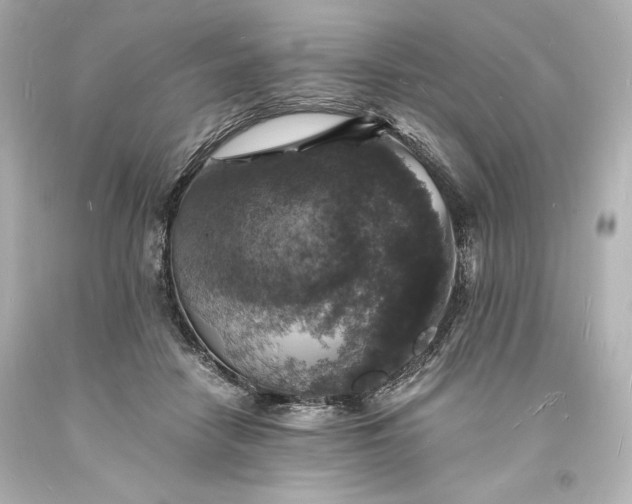 X0000094060458200711021449