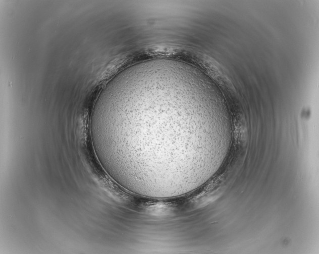 X0000094060460200711021449