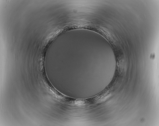 X0000094060462200711021449