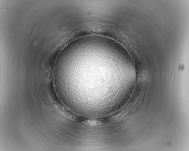 X0000094060464200711021450
