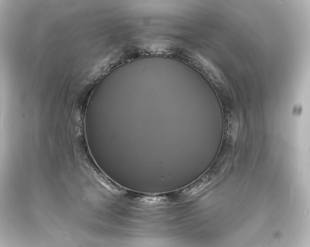 X0000094060465200711021450