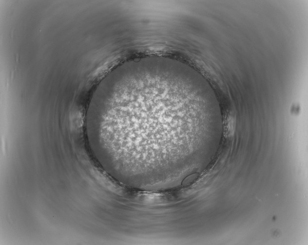 X0000094060472200711021450