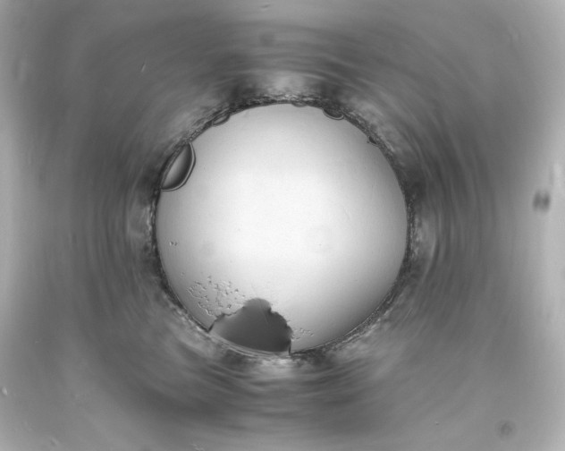 X0000094060473200711021450