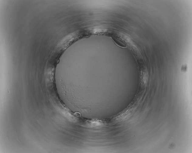 X0000094060475200711021450