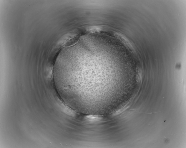 X0000094060477200711021450