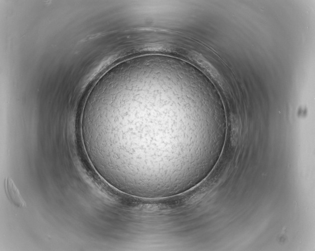 X0000094060482200711021449