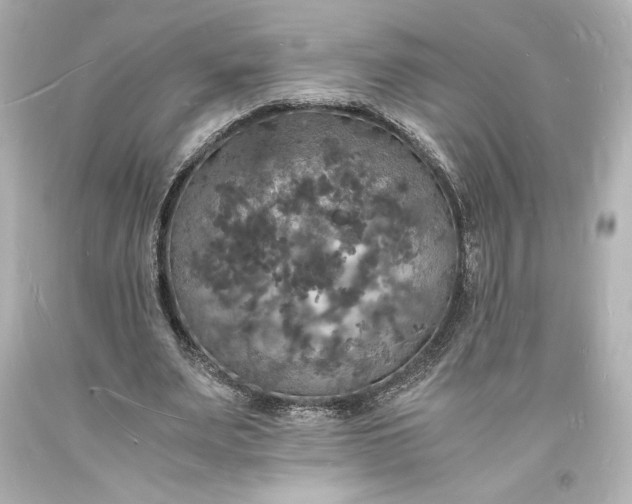 X0000094060487200711021449