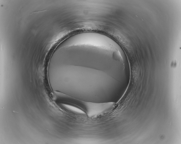 X0000094060488200711021449