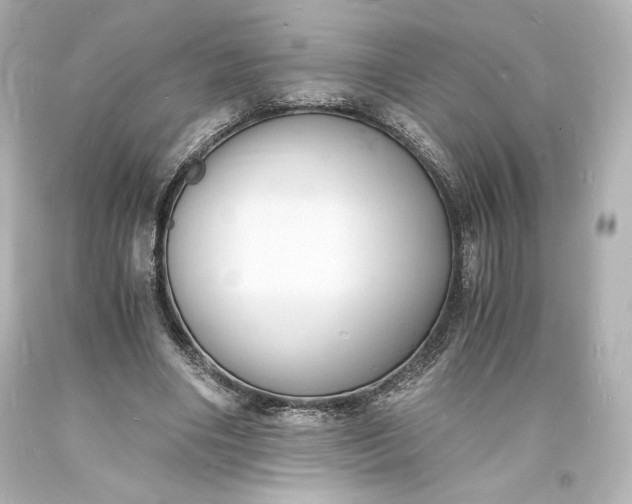 X0000094060490200711021449