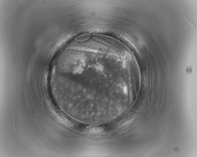 X0000094060491200711021449