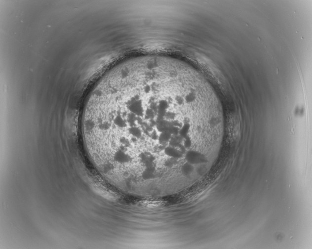 X0000094060495200711021449