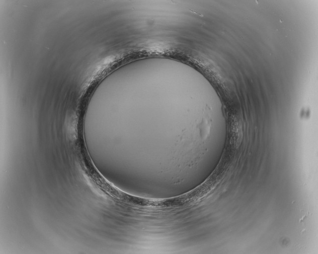 X0000094060496200711021449