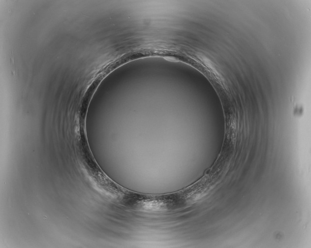 X0000094060500200711021449