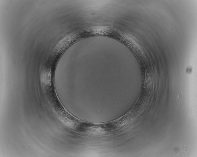 X0000094060502200711021449