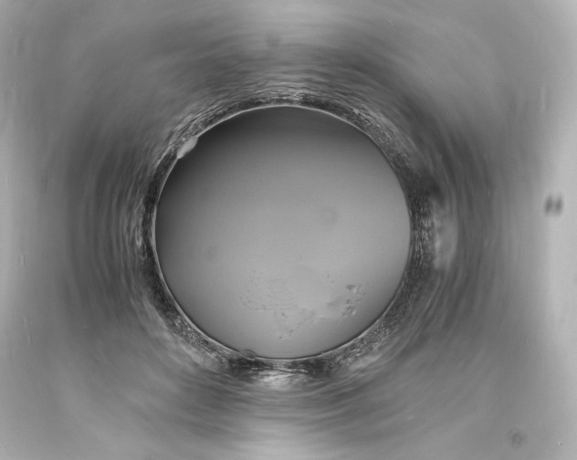 X0000094060504200711021449