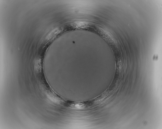X0000094060506200711021449