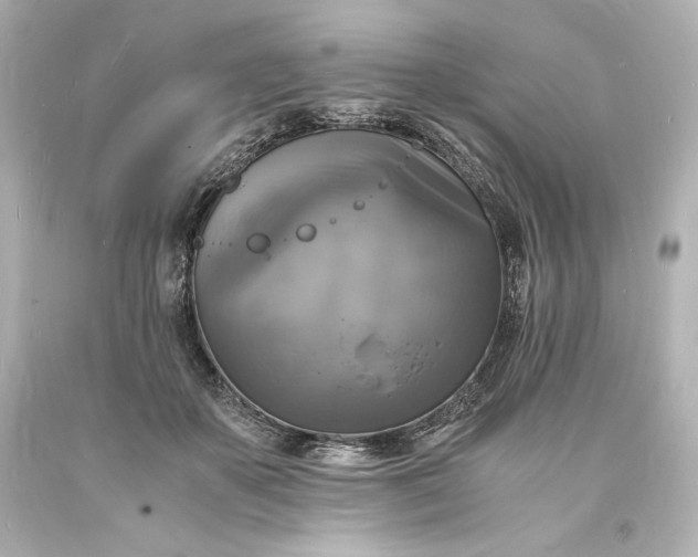 X0000094060507200711021449